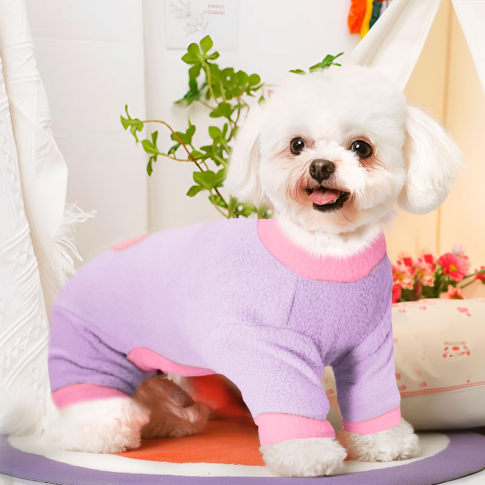 AXIIJGL pijama para perro pequeño con diseño en bloques de color, ideal para salidas diarias.