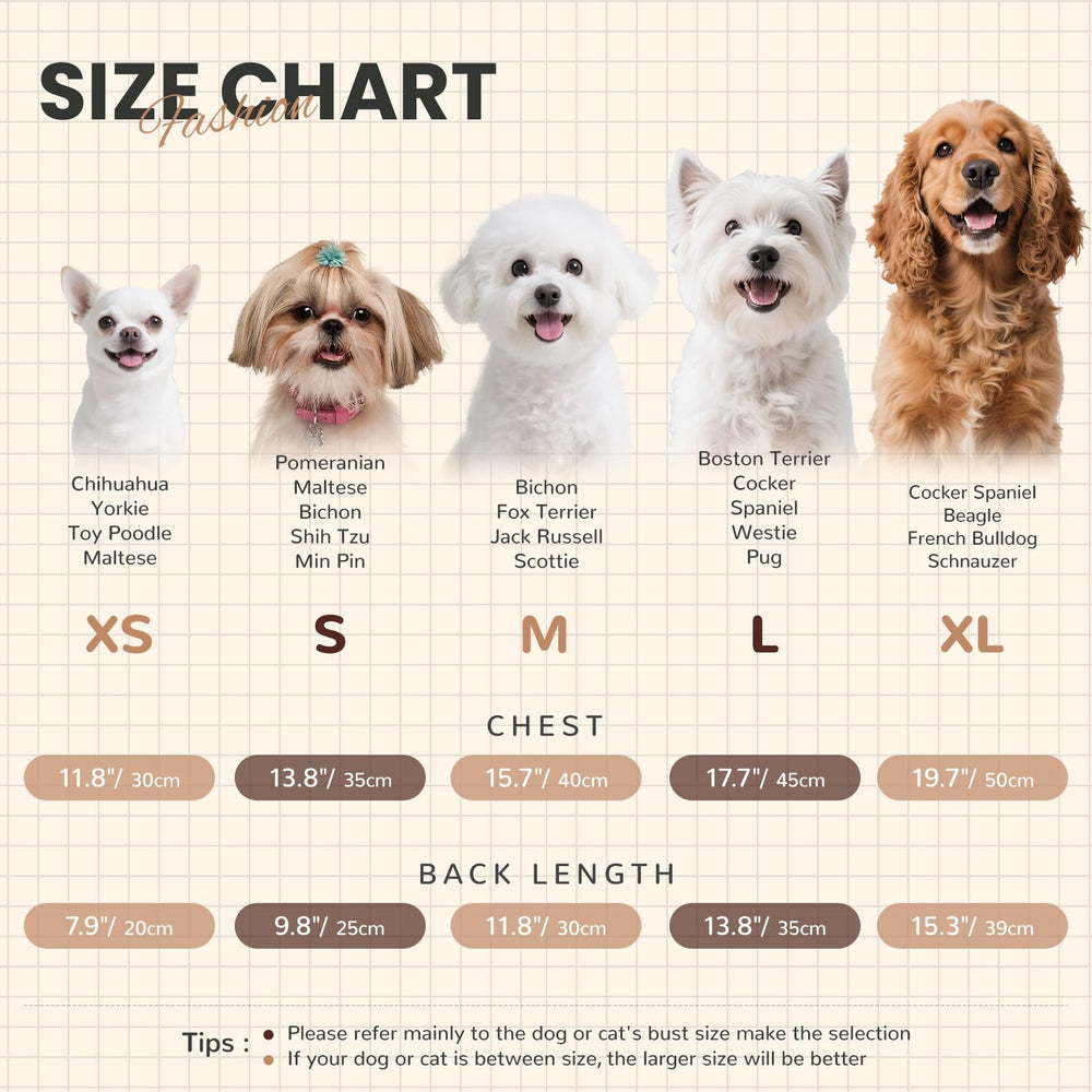 AXIIJGL suéter para fotos y ocasiones especiales, luce adorable.