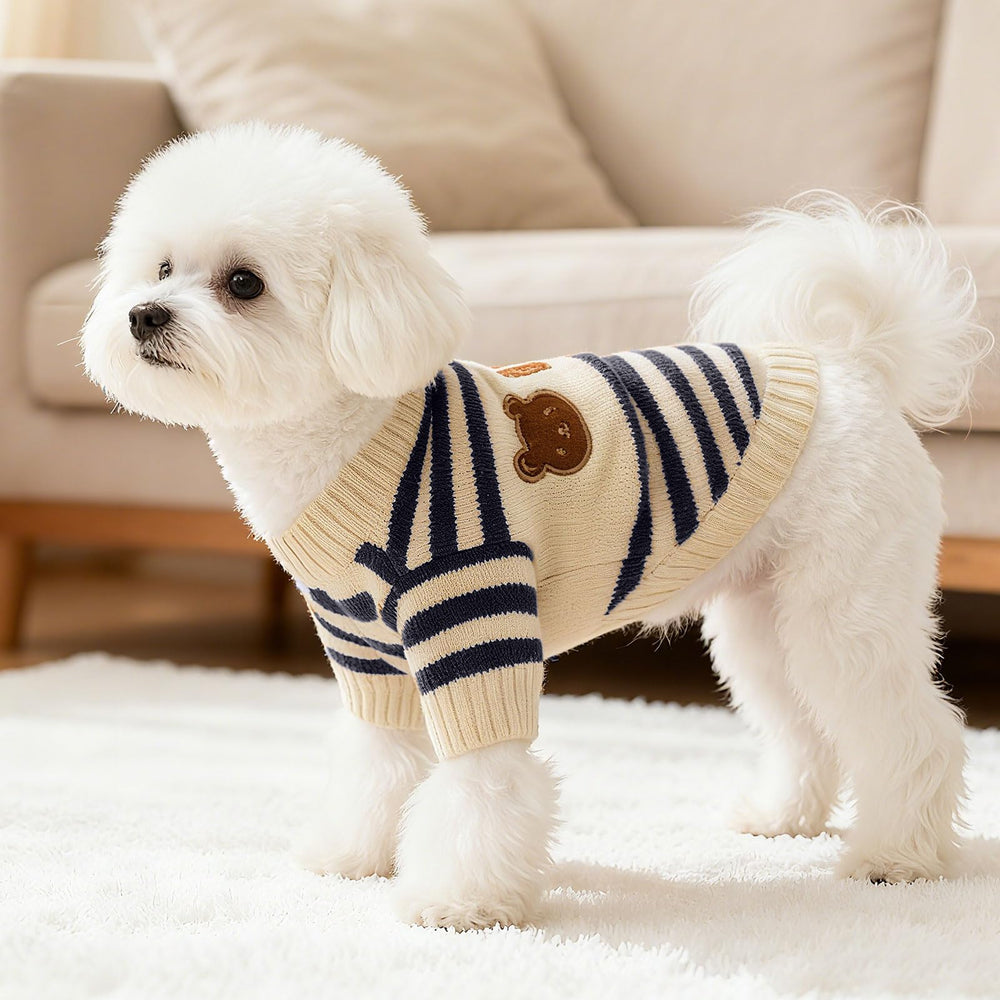AXIIJGL suéter para perros pequeños, detalle de oso para sesiones de fotos.