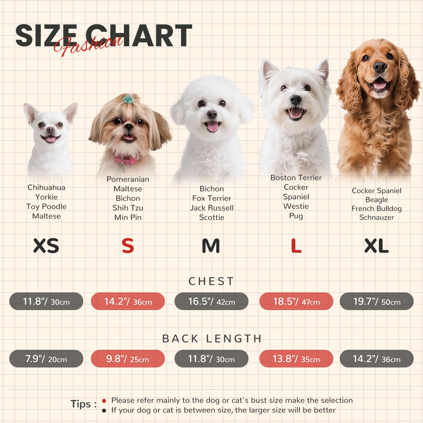 AXIIJGL jersey para perro pequeño con bolsillo, ideal para salir de casa.