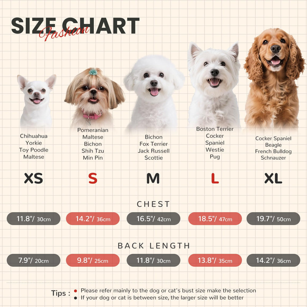 AXIIJGL jersey para perro pequeño con bolsillo, ideal para salir de casa.