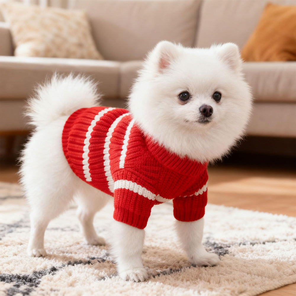 AXIIJGL sudadera suave para perro pequeño, tejido cómodo y cálido.
