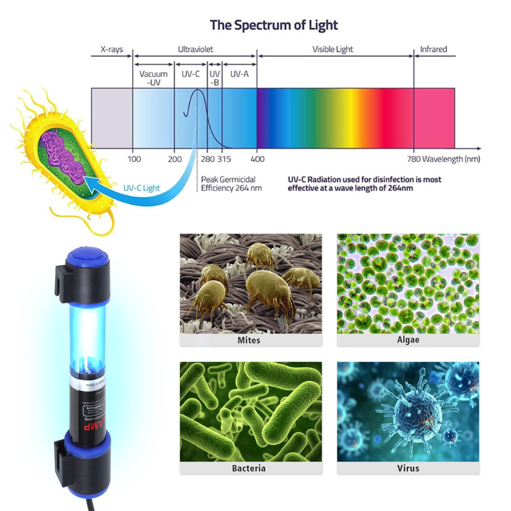 Luz UV-C submersible de Ayamaxon ilumina el acuario de forma homogénea.