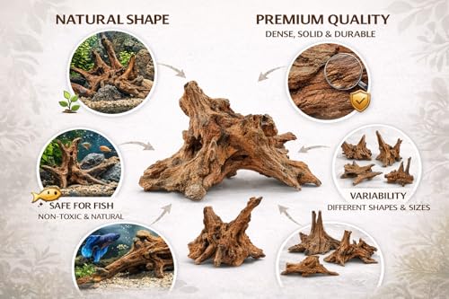 Azil driftwood para acuario, decoración natural y refugio para peces.