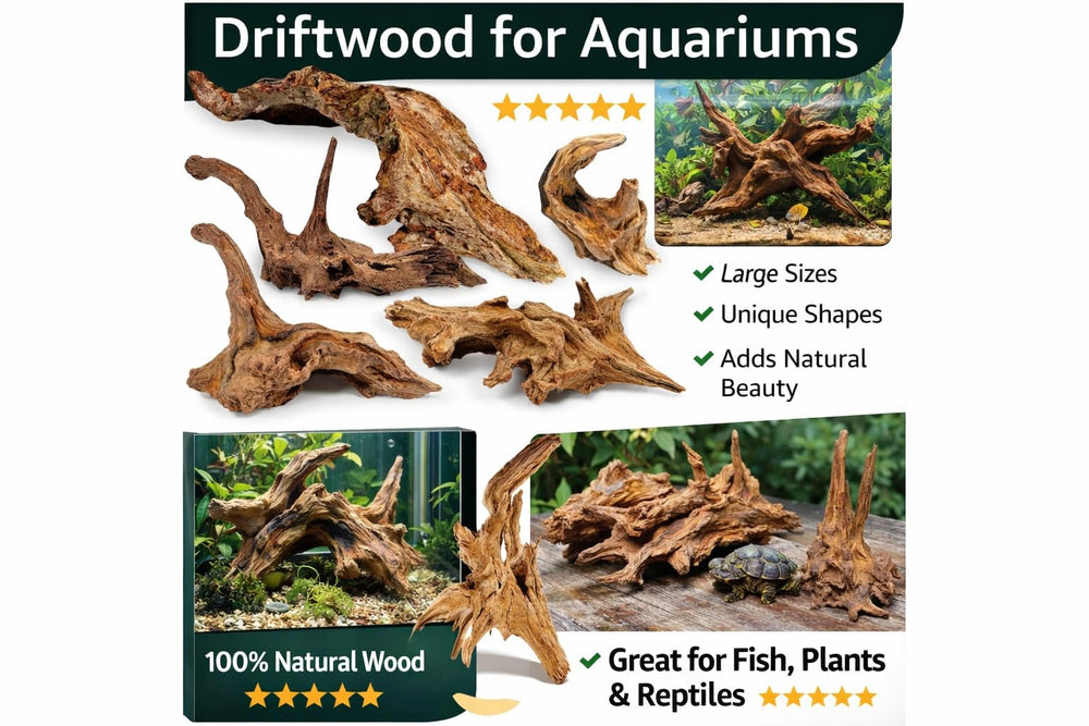 Azil driftwood portavelas diy para proyectos creativos.