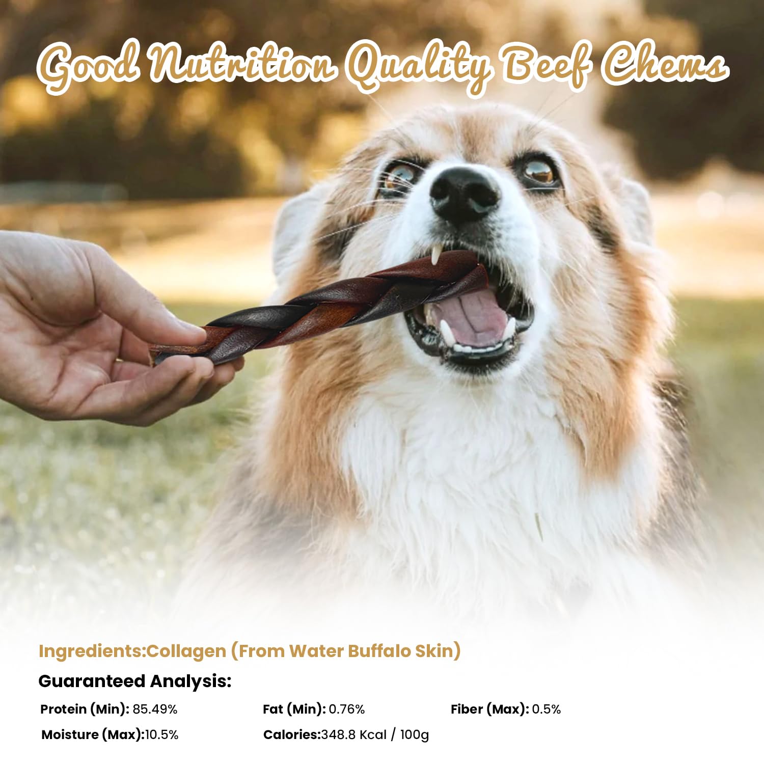 AZRAPAWS colágeno de búfalo agua, masticación duradera para perros grandes.