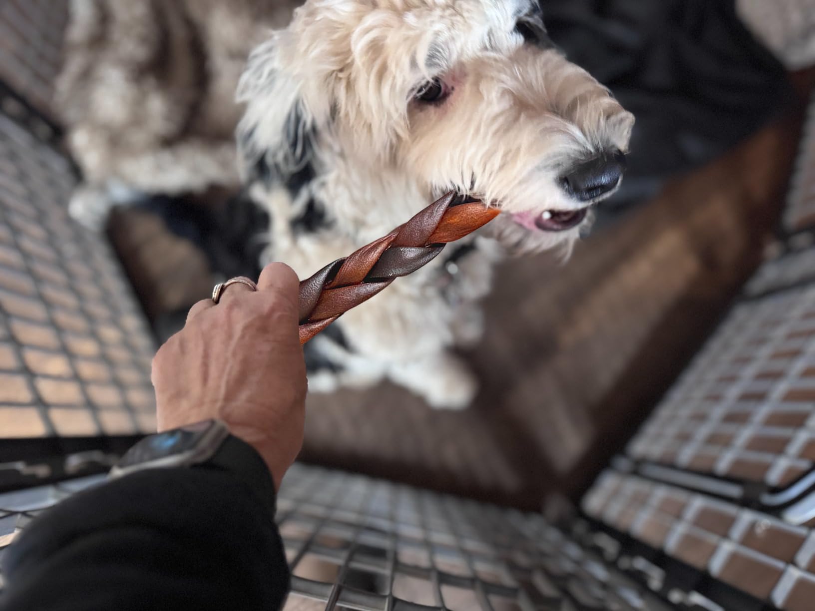AZRAPAWS masticables de 5-6 pulgadas para perros agresivos.