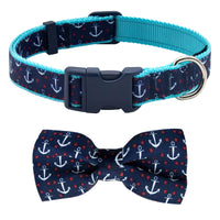 Collar azuza anchor con lazo para perros pequeños, estilo visible.