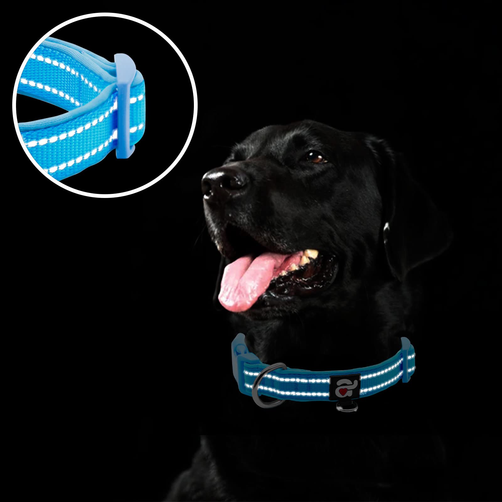 Anilla D cromada en collar azuza para mayor durabilidad.