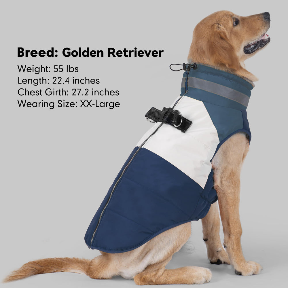 Chaleco azuza para perros: anillo D y hebilla para sujeción segura.