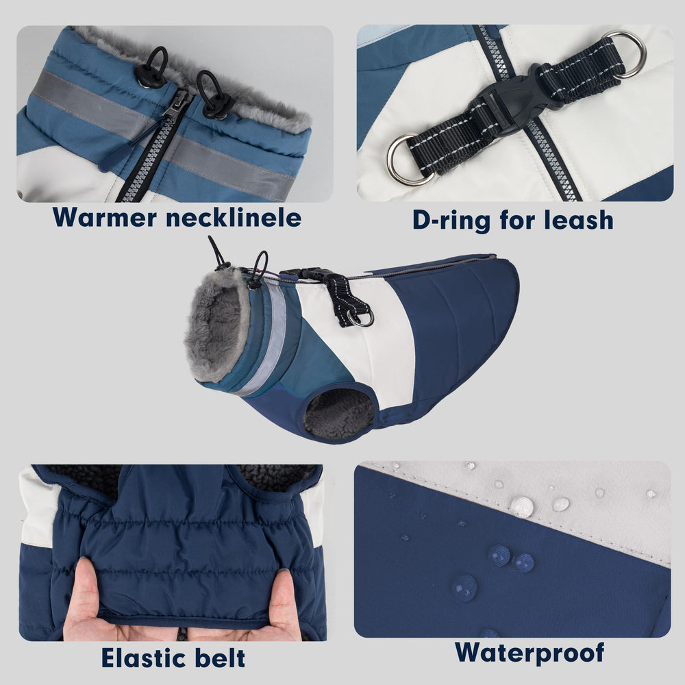Chaqueta Azuza con cinturón ventral elástico para ajuste cómodo.