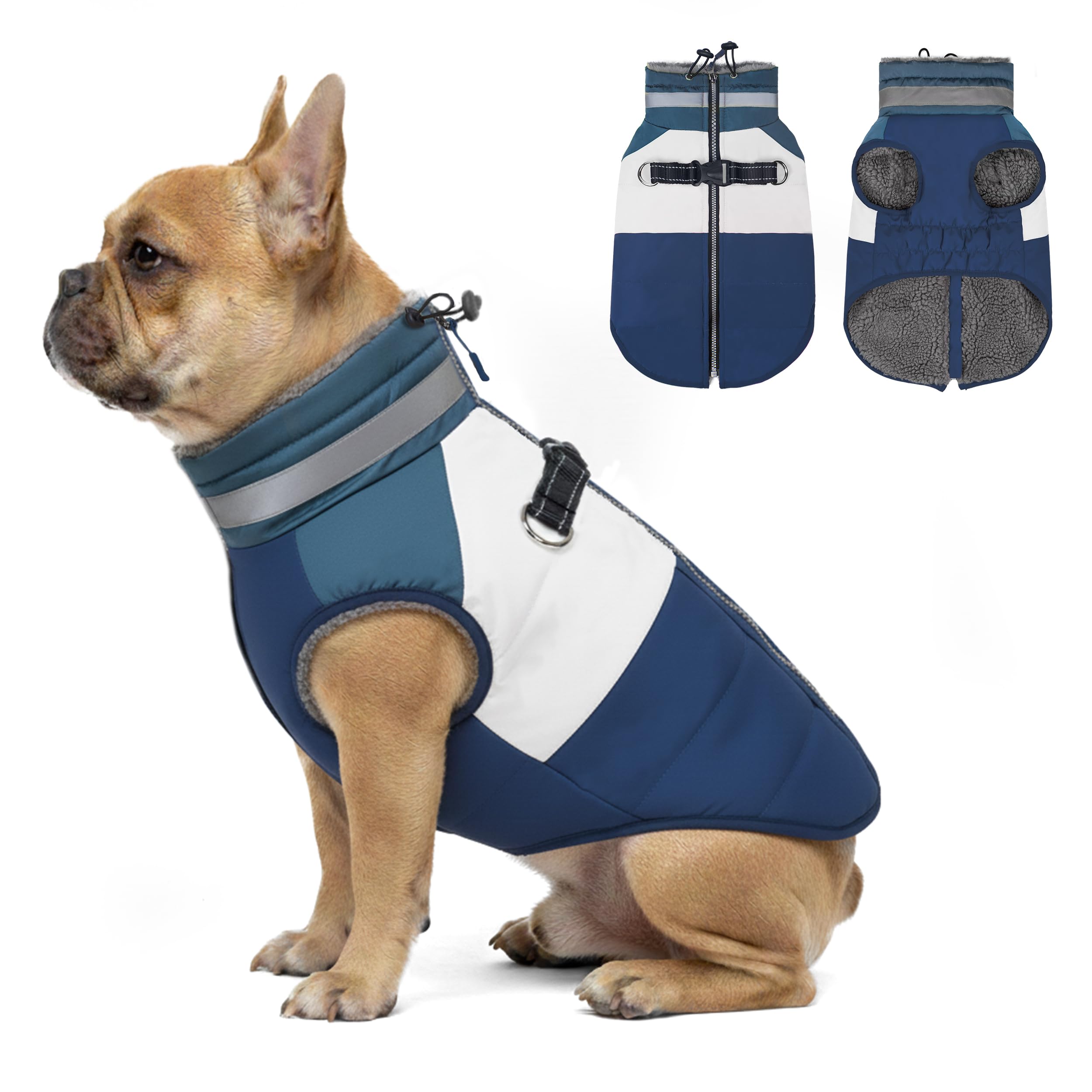 Chaqueta Azuza para perros pequeños con cierre en la espalda, fácil de poner.