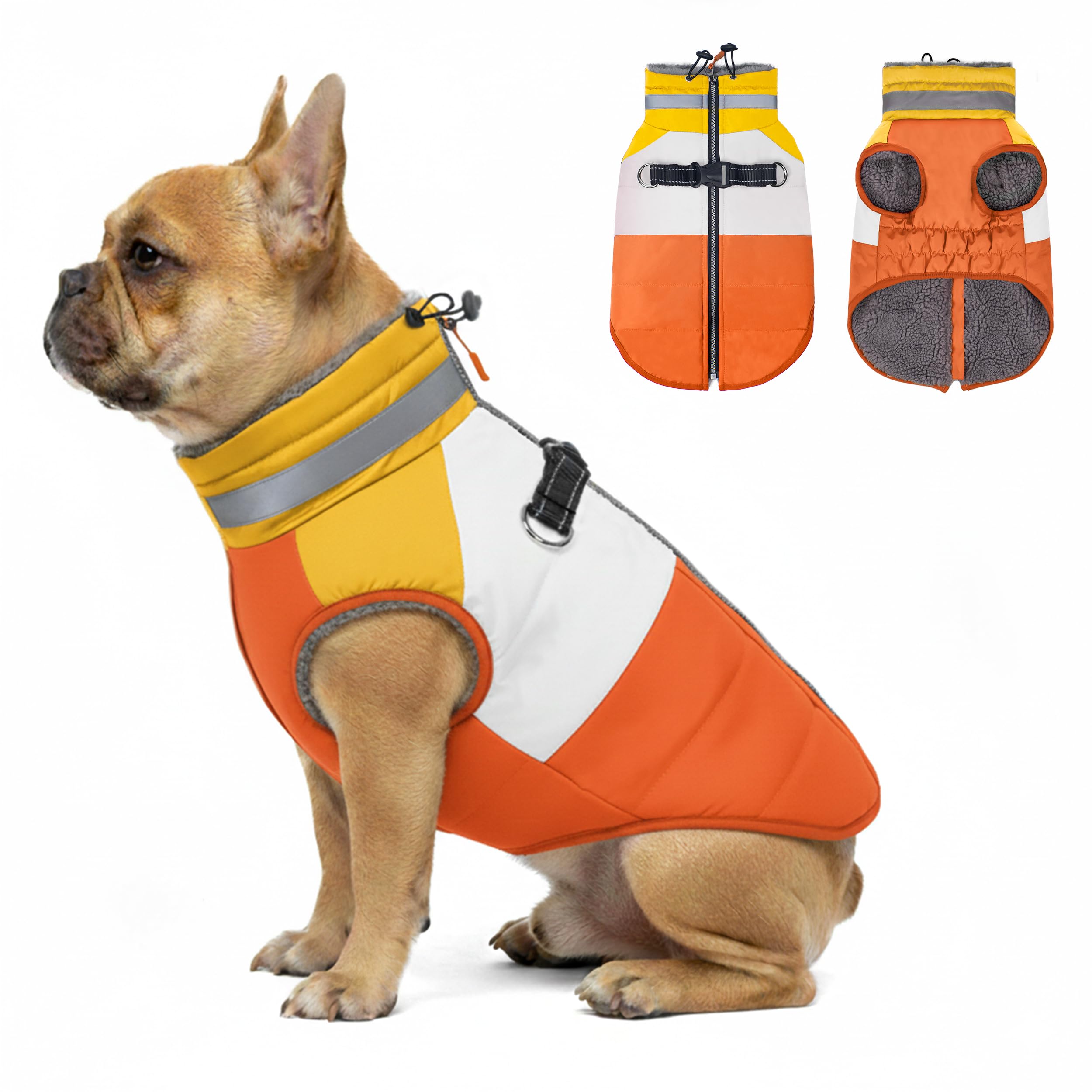 Chaqueta azuza para perros pequeños con cierre trasero, facilita vestir y mantiene seco.