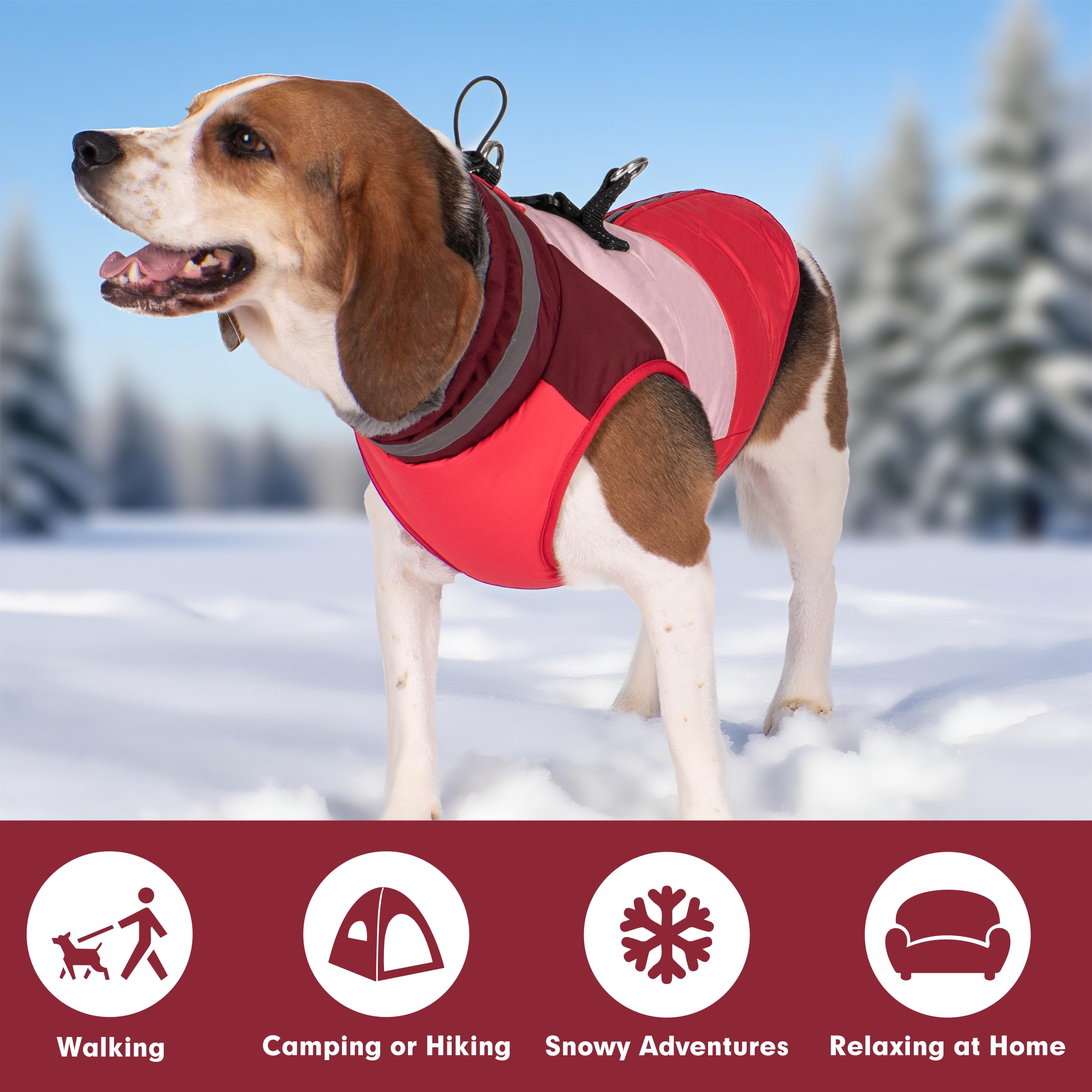 Azuza chaqueta para perro pequeño – talla M en rojo, ideal para salidas diarias