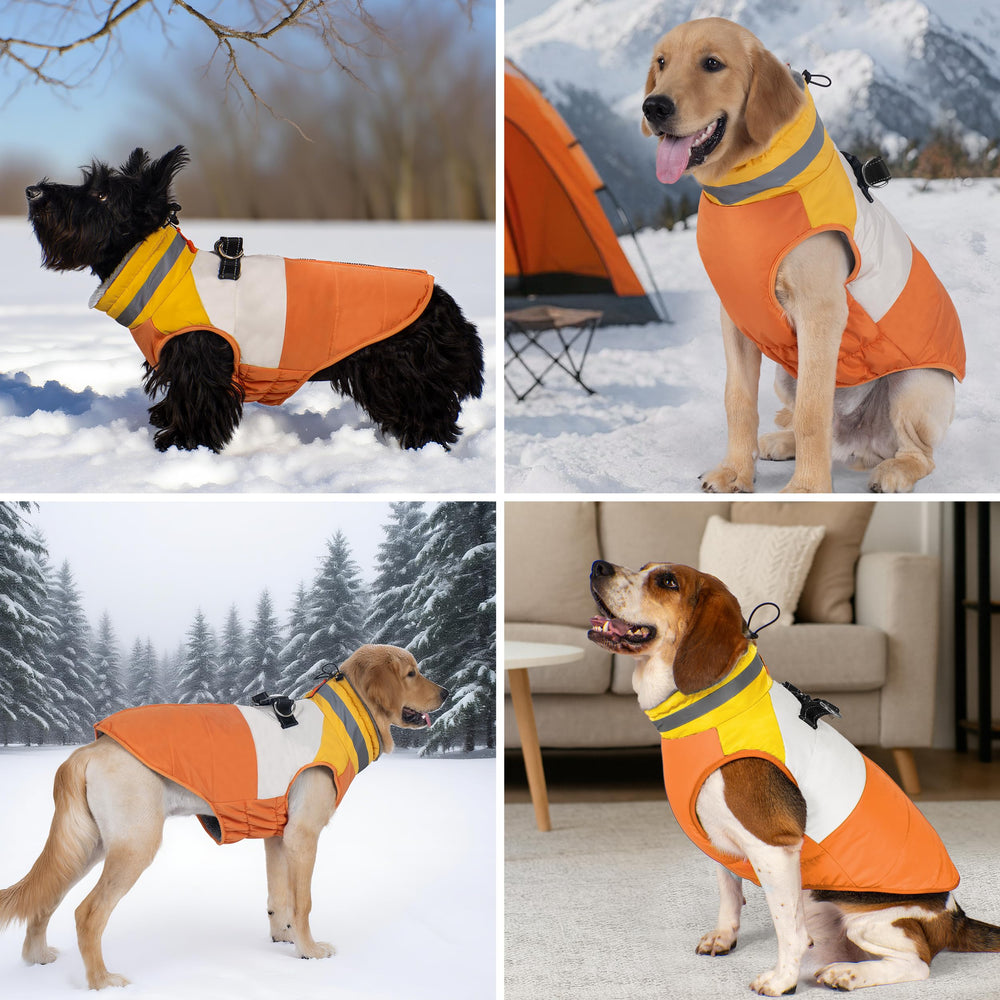 Ideal para salidas en lluvia, viento y nieve con la chaqueta azuza.