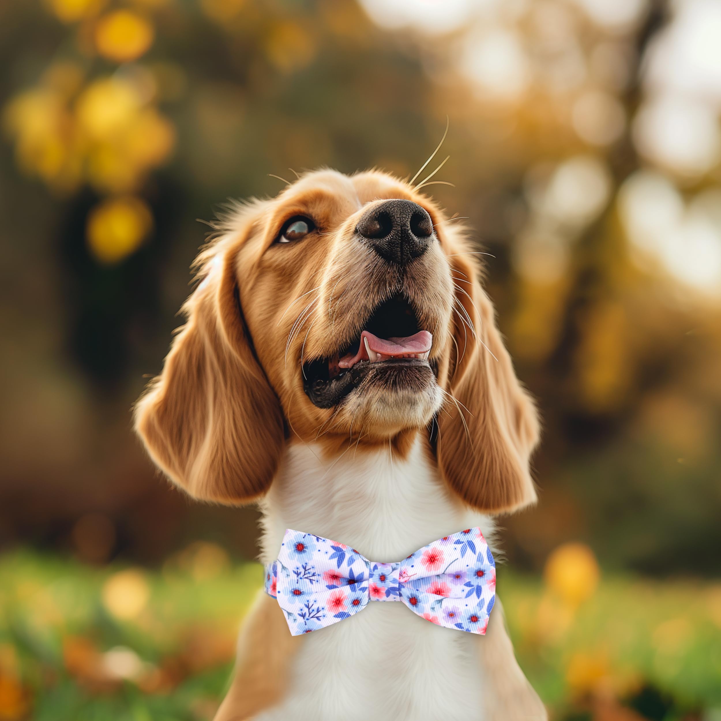 azuza collar estilo exterior para paseo con familia