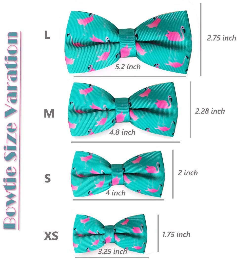 Collar Azuza lavable a máquina para un mantenimiento sencillo.