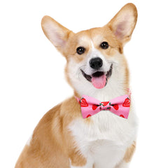 patrón fresa en azuza, collar rosa para salidas diarias con estilo.