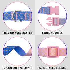 Azuza collar nylon alta densidad, duradero para paseos diarios