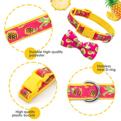 azuza collar nylon durable con hebilla ecológica, ideal para paseos seguros