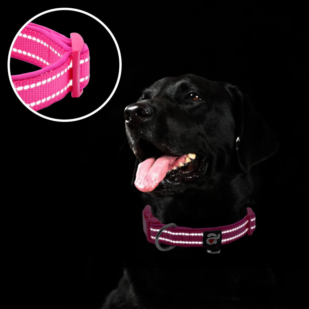 Ajuste fácil para poner y quitar el collar sin esfuerzos.
