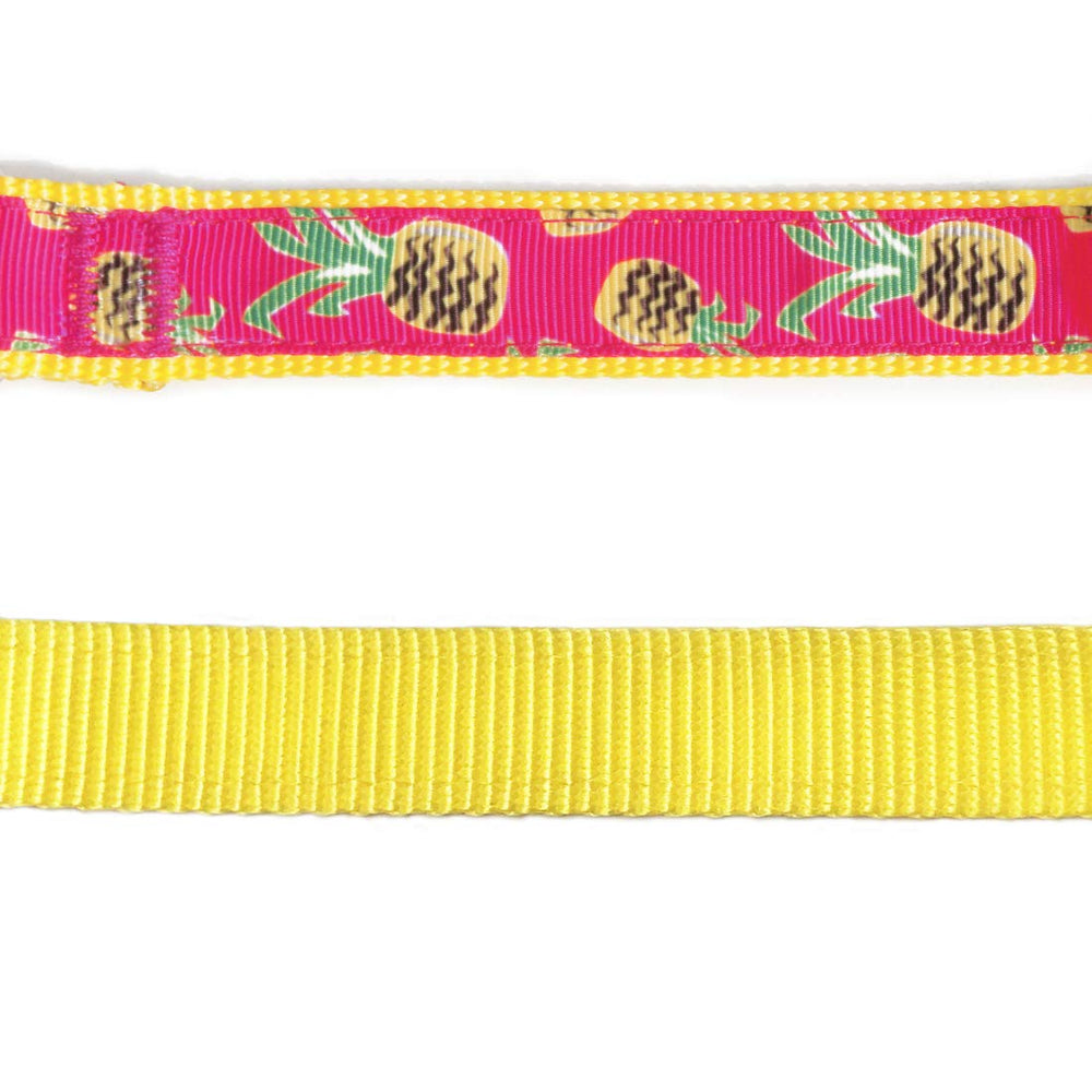 Azuza collar con lazo extraíble, fácil de lavar después de actividades.