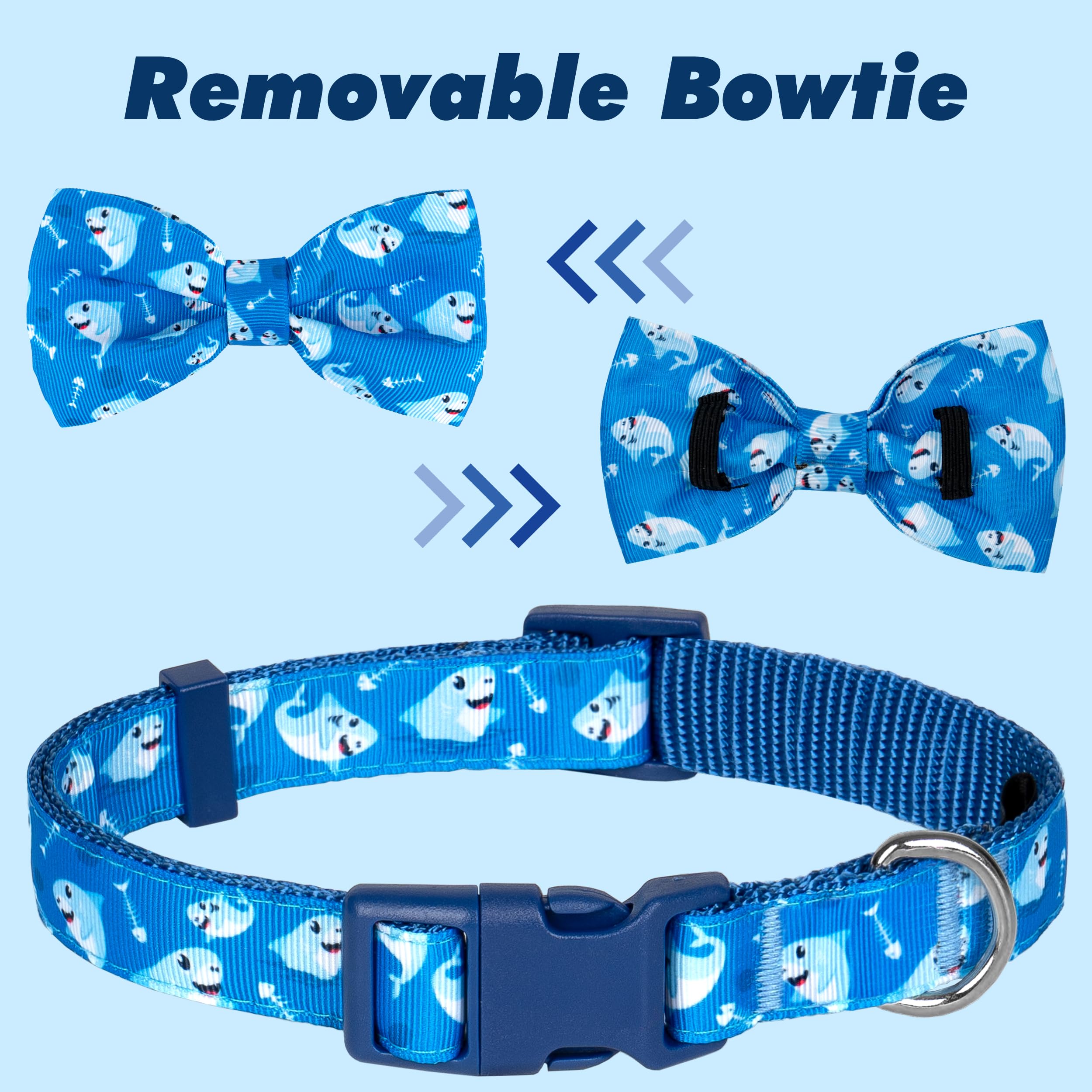 Azuza collar para perro con lazo removible, fácil limpieza.