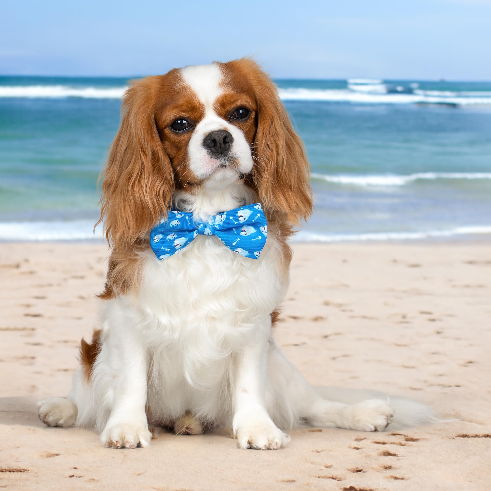 Azuza collar diseño verano, listo para paseos al aire libre.