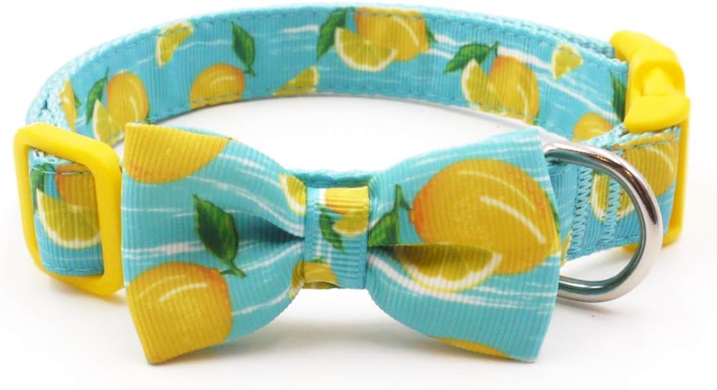 azuza collar hebilla plástica ecológica y resistente para uso diario.