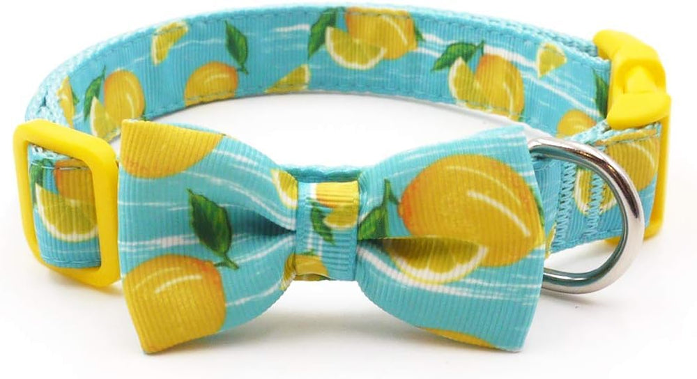 azuza collar hebilla plástica ecológica y resistente para uso diario.