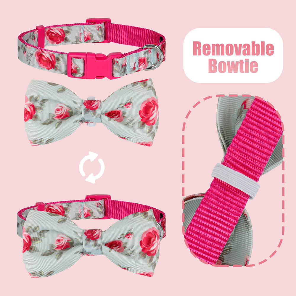 Lazo desmontable del collar azuza para ocasiones especiales.