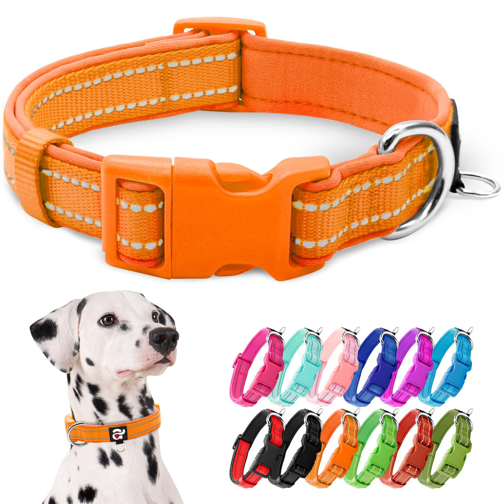 Collar azuza reflectante para perro con neopreno acolchado, ideal para paseos nocturnos