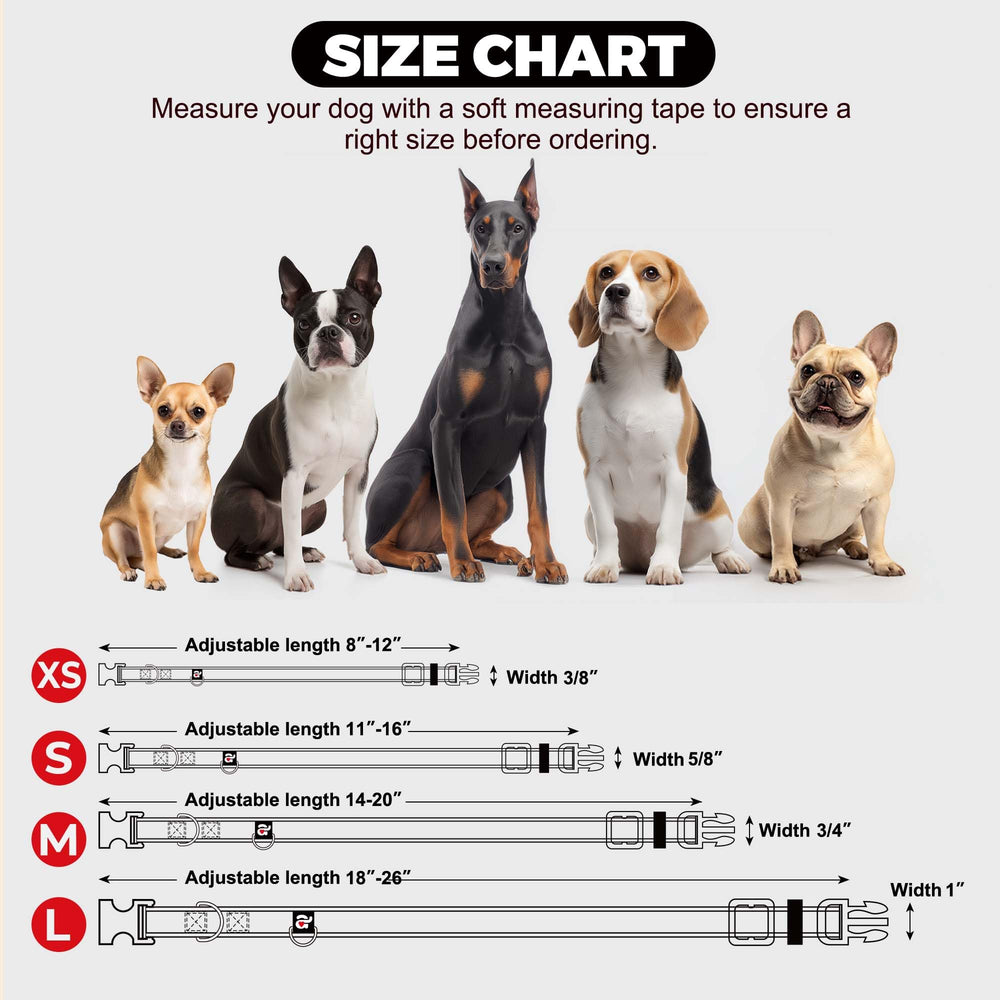 Collar azuza talla grande para perros grandes