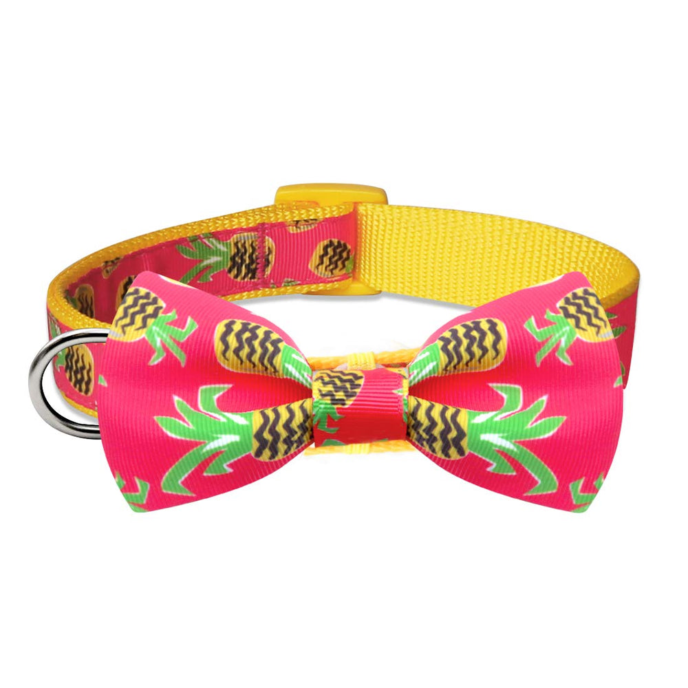 Azuza collar con lazo ideal para perros grandes en salidas familiares.