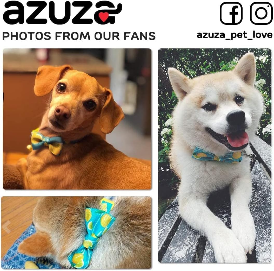 azuza collar perfecto para uso diario y ocasiones especiales como fotos familiares.