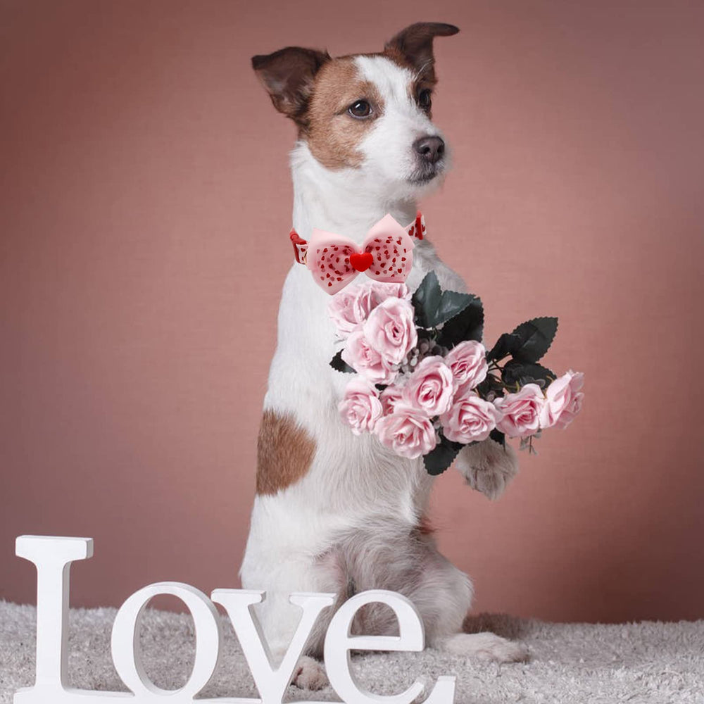 Diseño romántico para ocasiones especiales como bodas o sesiones de fotos.