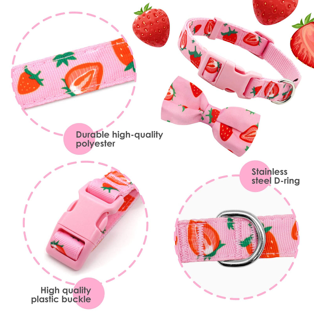 lazo rosa desmontable de azuza para limpieza rápida tras actividades.