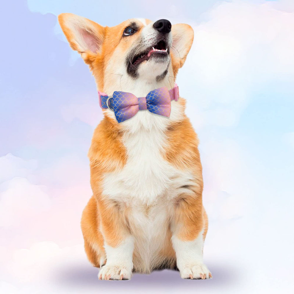 Azuza pajarita removible en collar, fácil limpieza y cambio de estilo