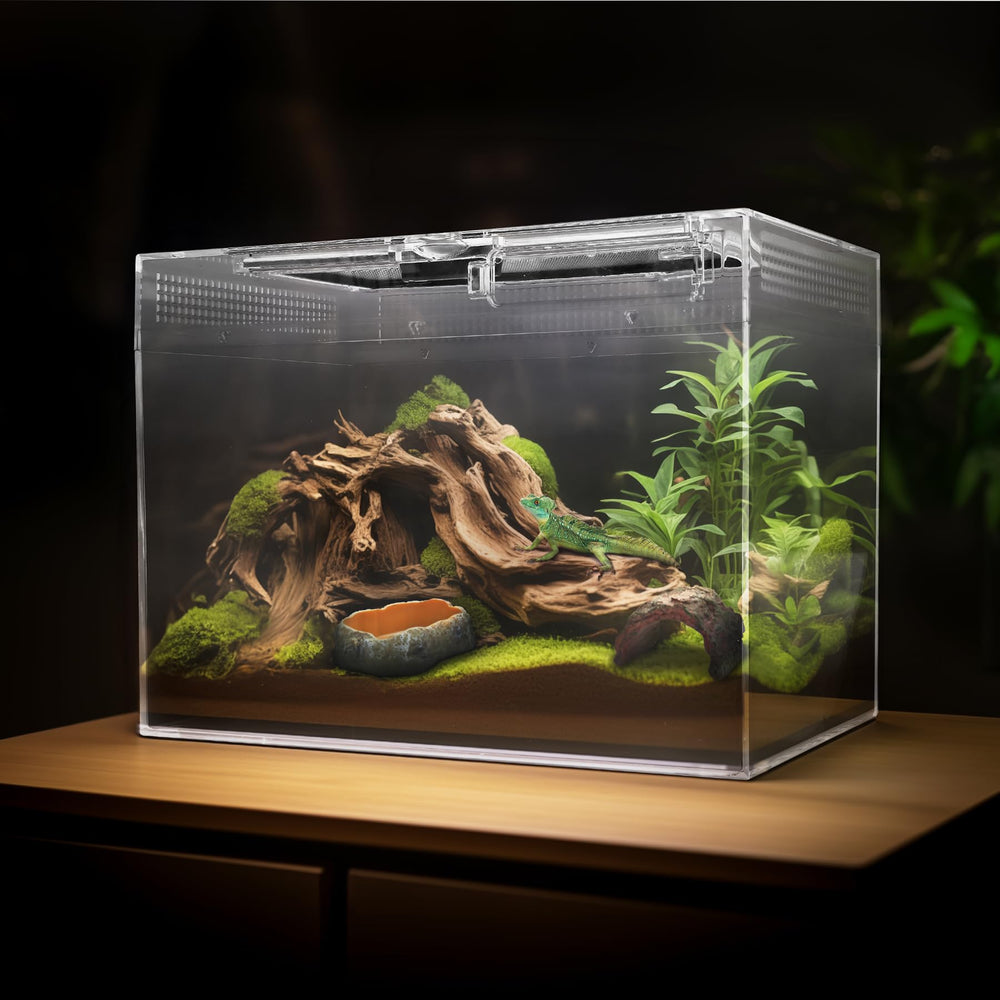 Uso versátil para geckos, ranas y tarántulas en casa o aula.