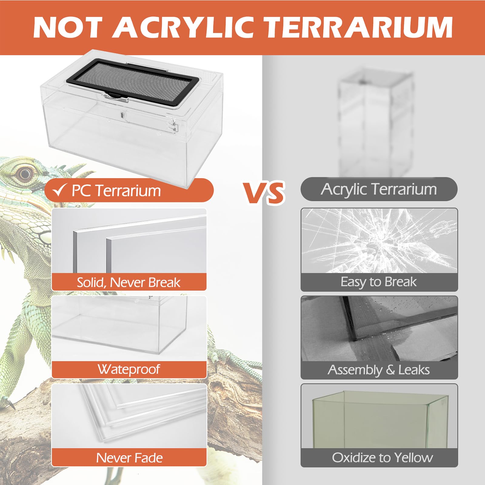 AZV terrario PC diseño de una pieza, sin piezas sueltas