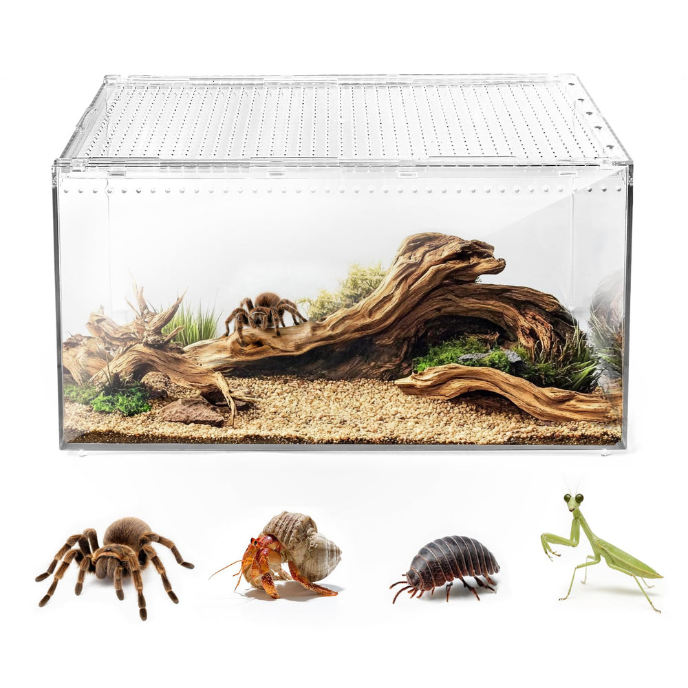 AZV terrario con tapa magnética que evita escapes, ideal para tarántulas y geckos.