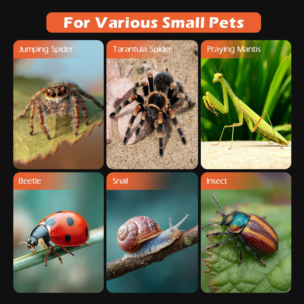 AZV uso educativo y hobby para insectos pequeños.