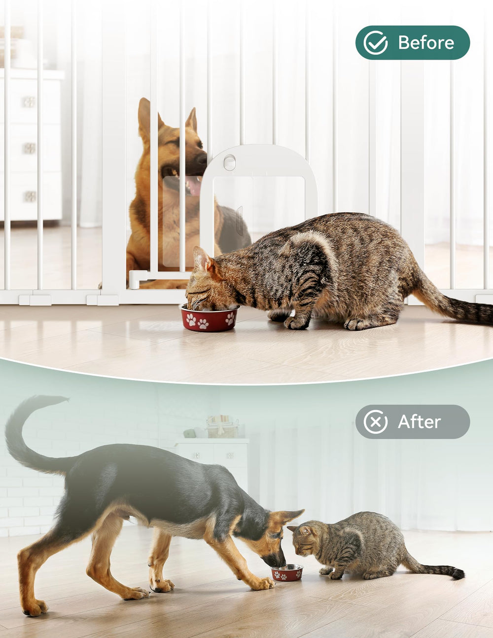 Babelio puerta-gato ajustable para evitar peleas entre mascotas.