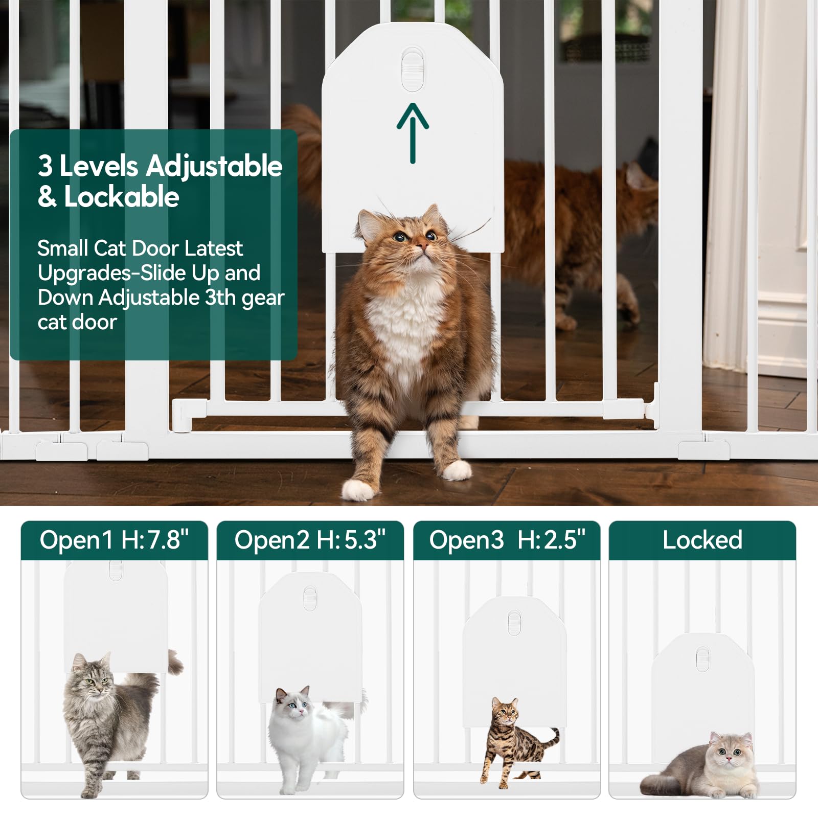 BABELIO puerta mascota pequeña con cerradura, práctica para gestionar el acceso de la mascota.