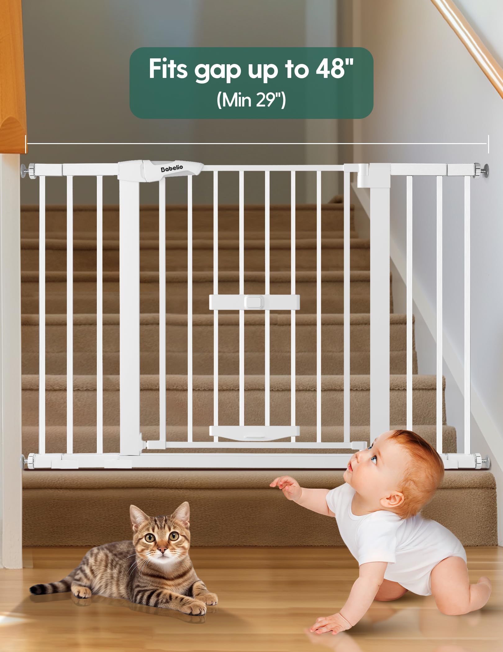 BABELIO upgraded cat door with four-level adjustment for easy pet access.