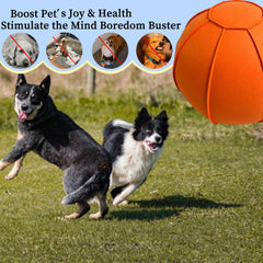 BabieDtOyG: funda higiénica lavable naranja para la pelota de pastoreo