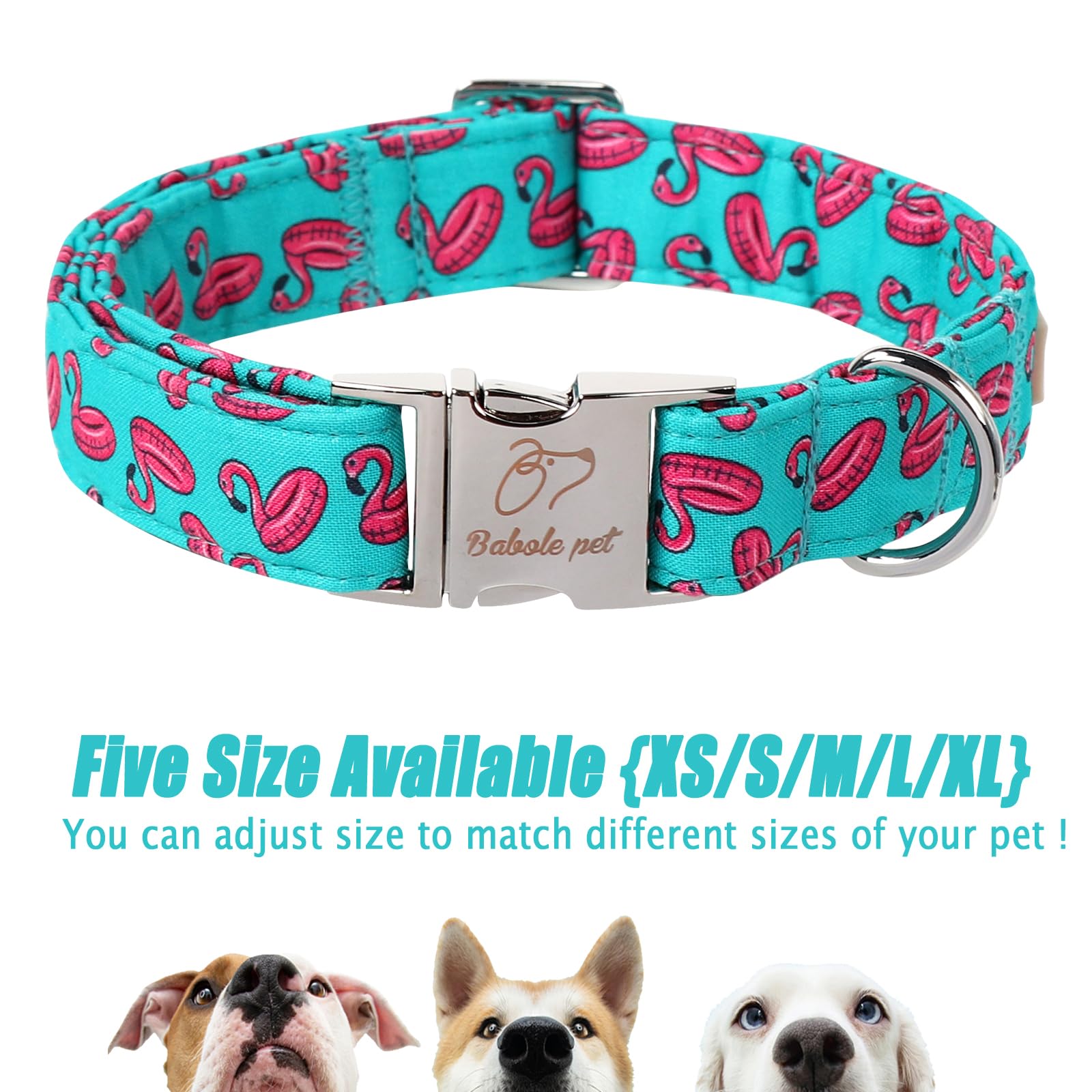 Accesorios a juego Babole Pet: correa y bandana para completar el conjunto.
