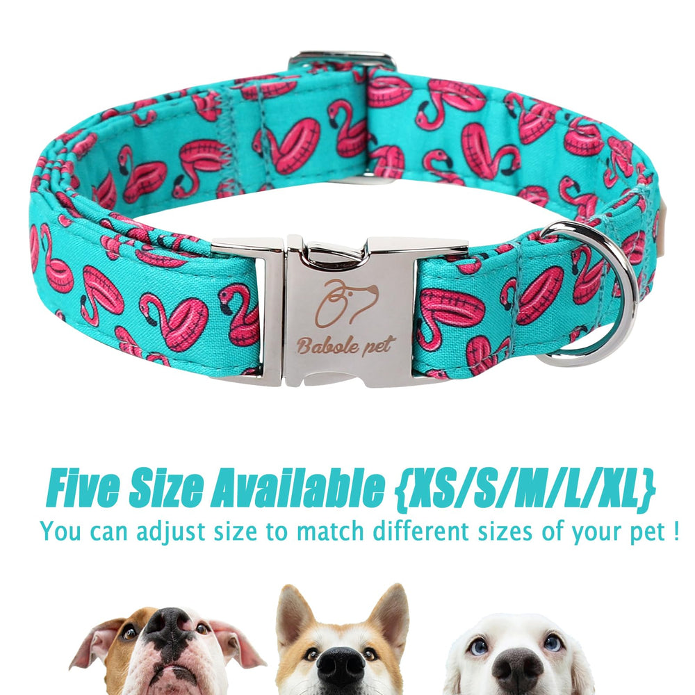 Accesorios a juego Babole Pet: correa y bandana para completar el conjunto.