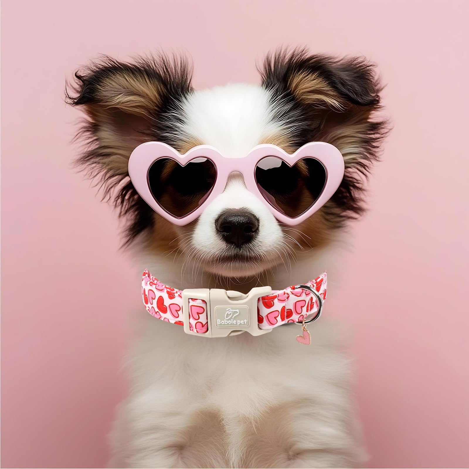 Cierre rápido del collar Babole Pet Valentines, seguridad reforzada durante paseos.