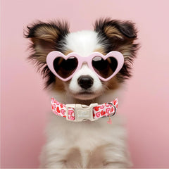 Cierre rápido del collar Babole Pet Valentines, seguridad reforzada durante paseos.